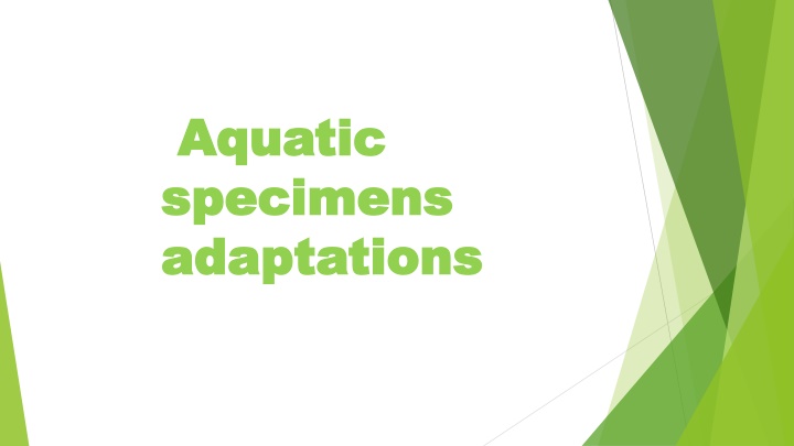 aquatic aquatic specimens specimens adaptations