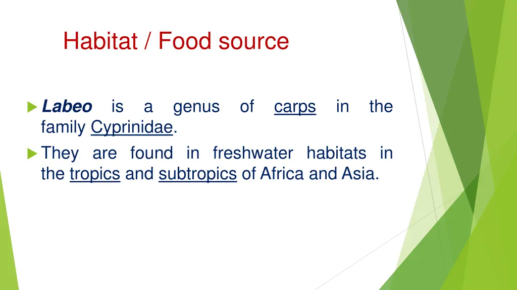 habitat food source 2