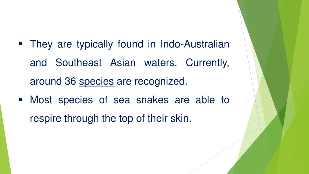 they are typically found in indo australian