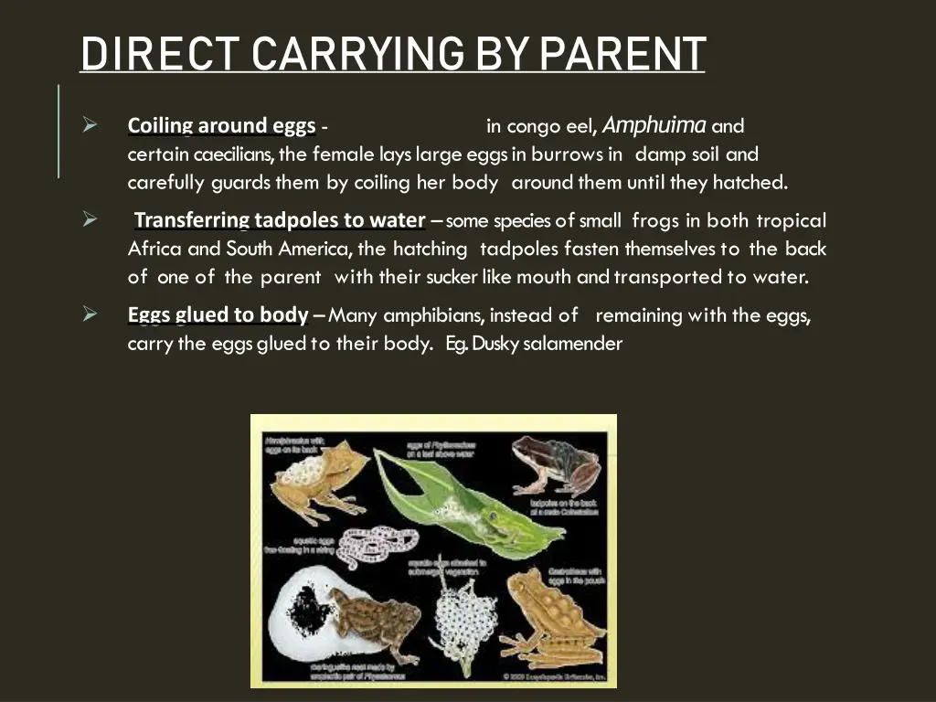 direct carrying byparent