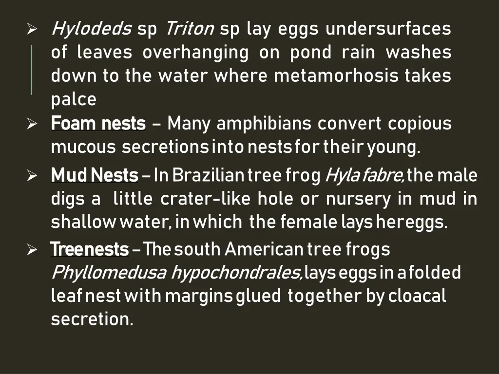 hylodeds sp triton sp lay eggs undersurfaces