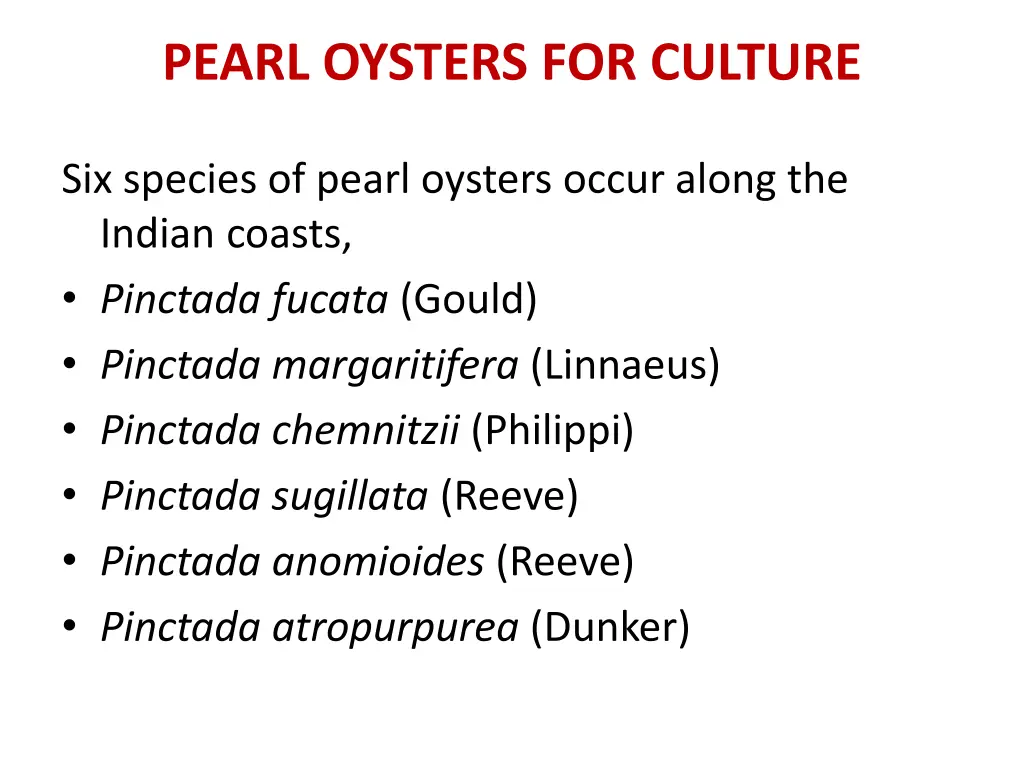 pearl oysters for culture