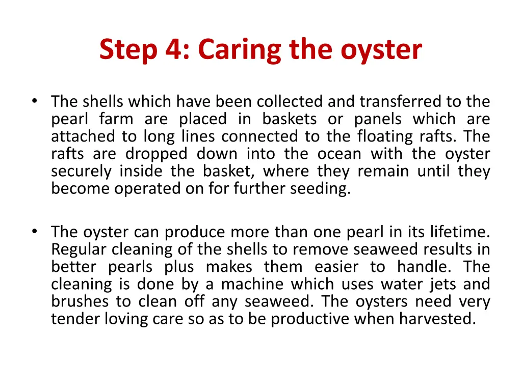 step 4 caring the oyster