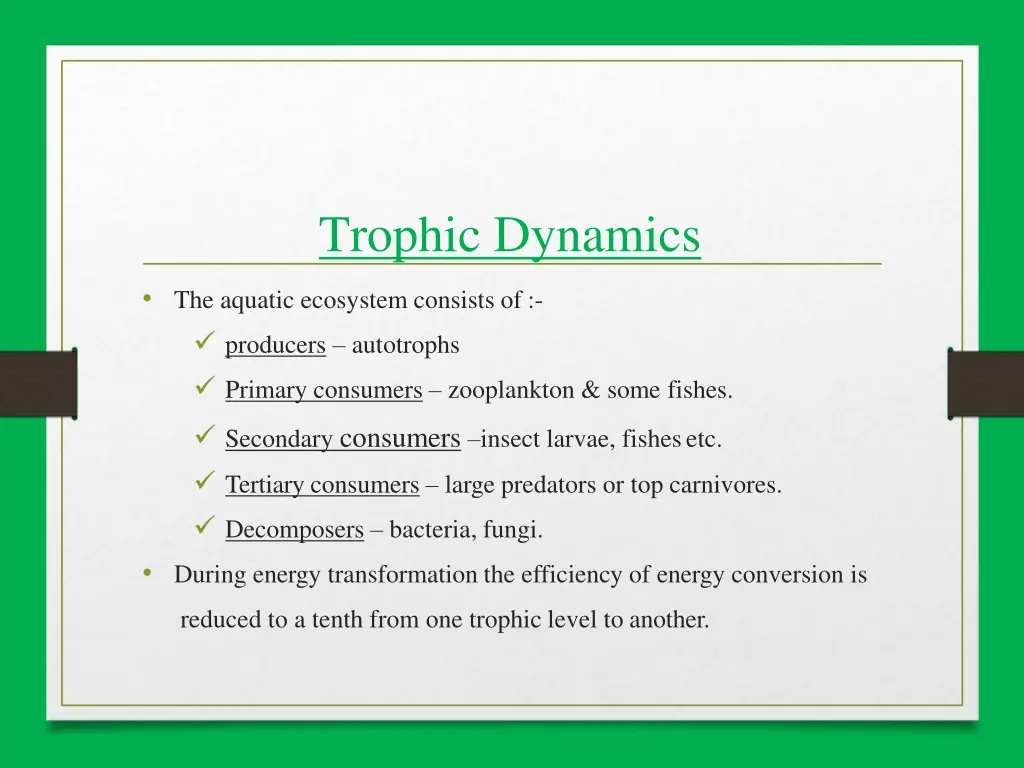 trophic dynamics