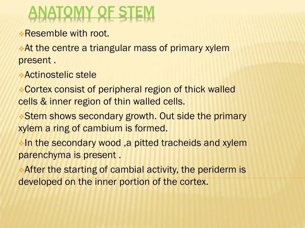 anatomy of stem