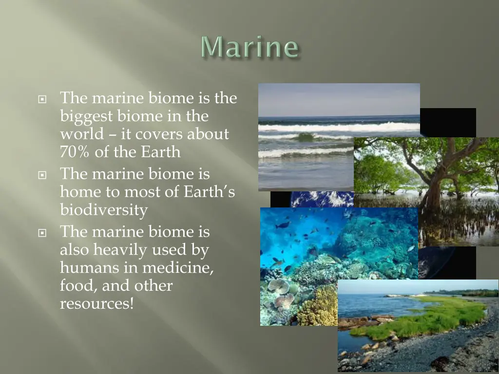 the marine biome is the biggest biome