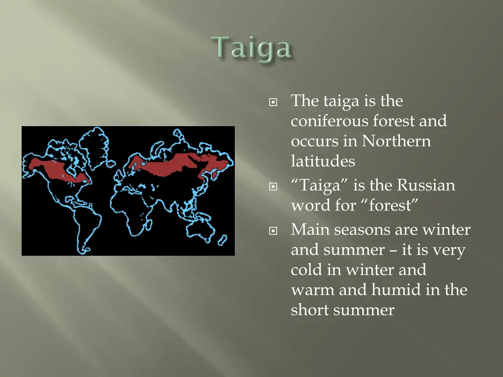 the taiga is the coniferous forest and occurs