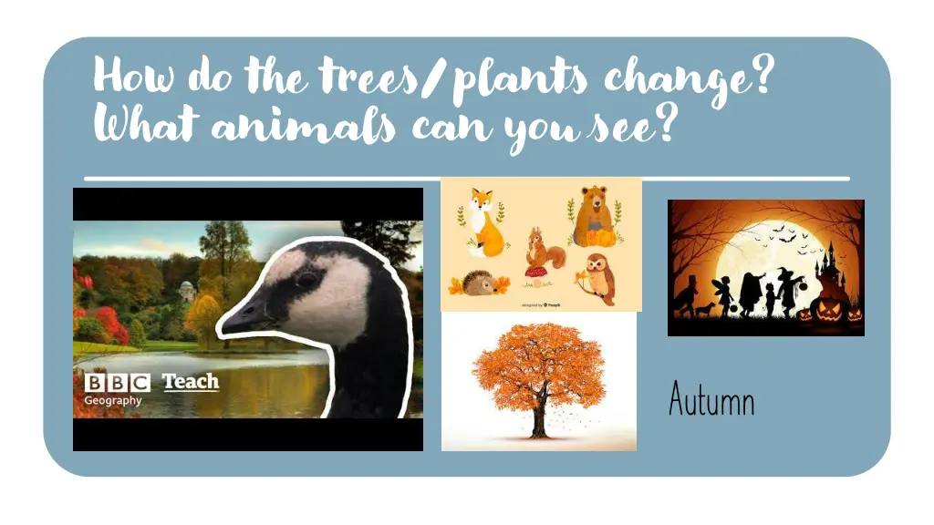 how do the trees plants change what animals