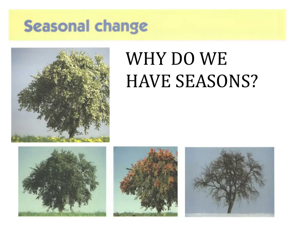 why do we have seasons