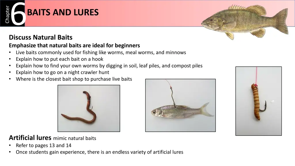 baits and lures 6 discuss natural baits emphasize