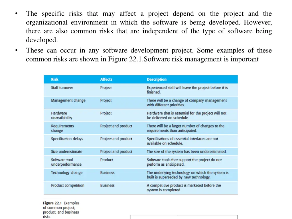 the specific risks that may affect a project