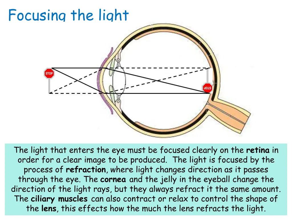 focusing the light