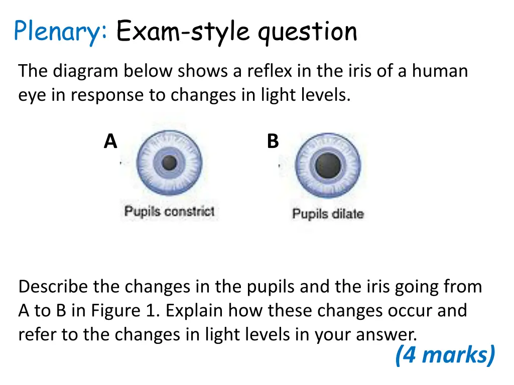 plenary exam style question