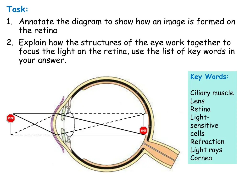 task 1 annotate the diagram to show how an image