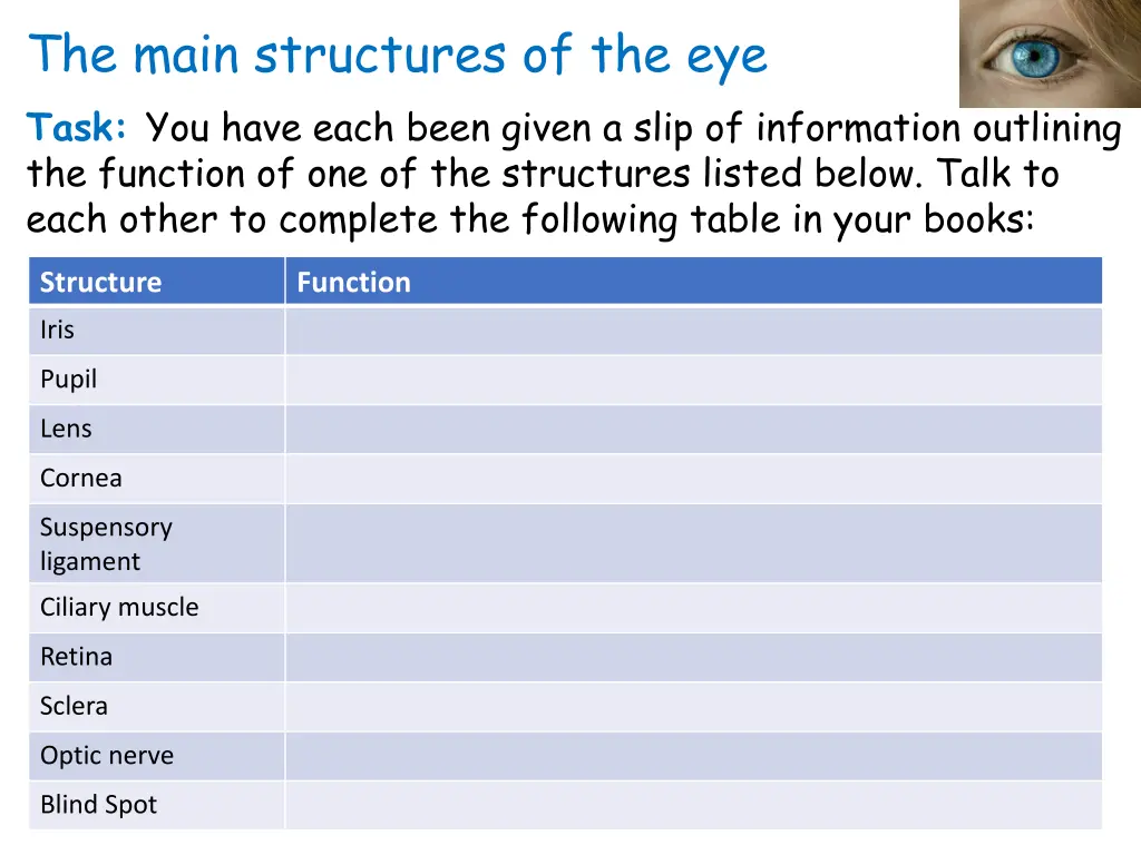 the main structures of the eye task you have each