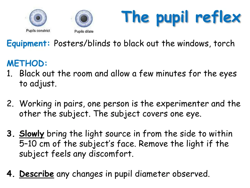 the pupil reflex