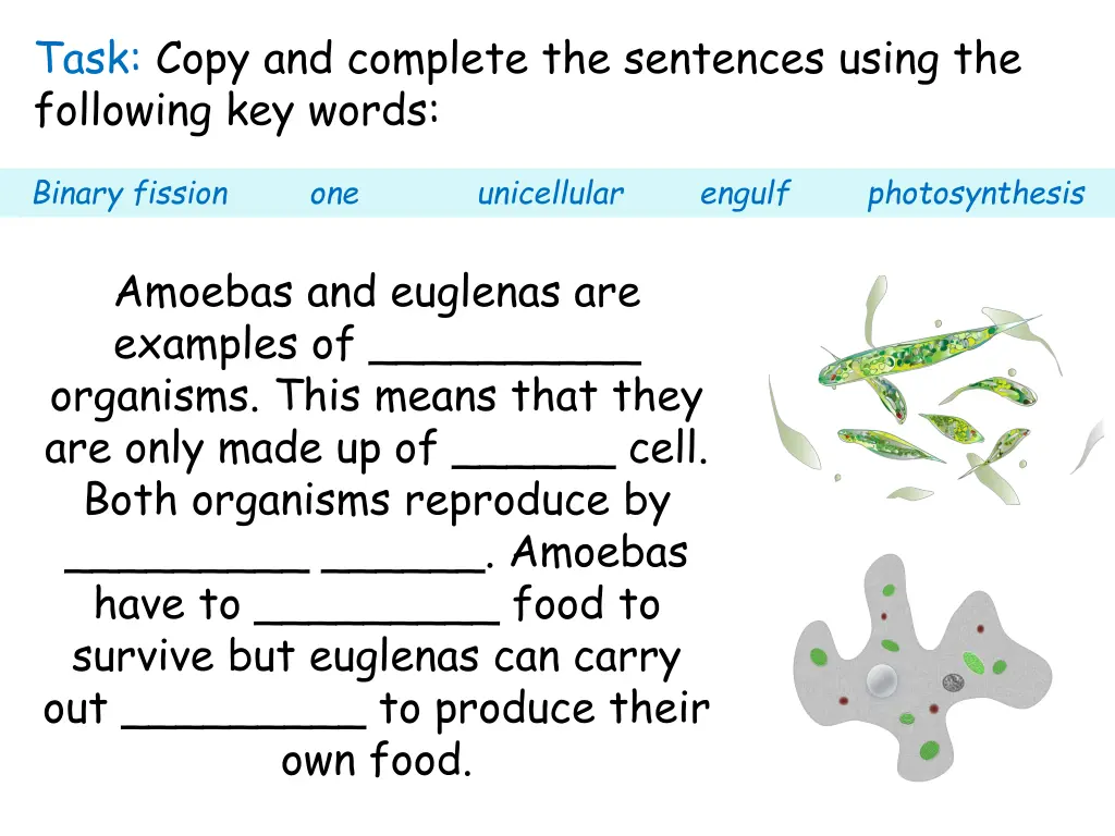 task copy and complete the sentences using