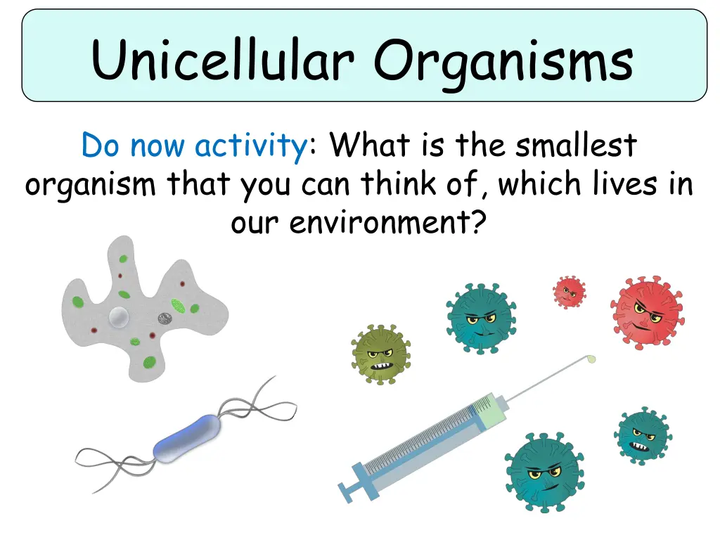 unicellular organisms