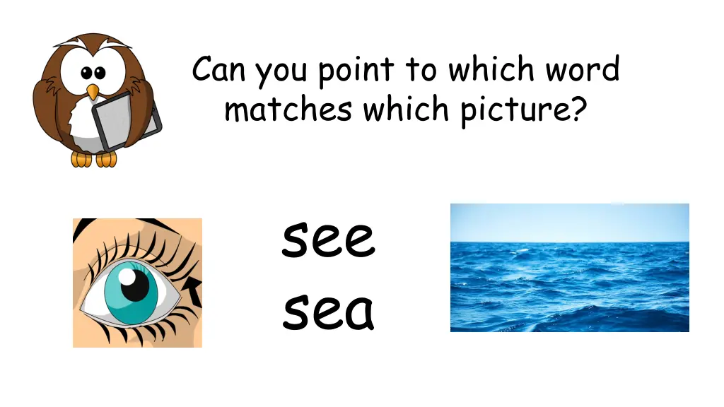 can you point to which word matches which picture 1