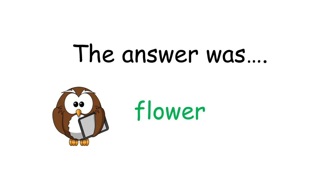 the answer was