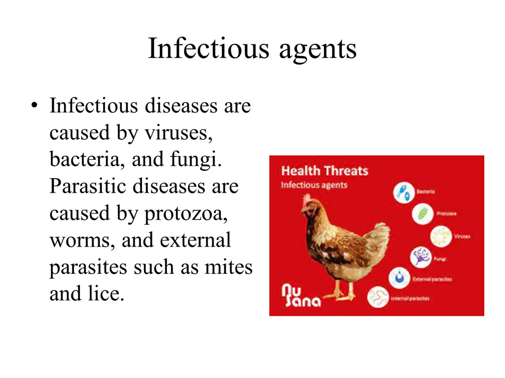 infectious agents