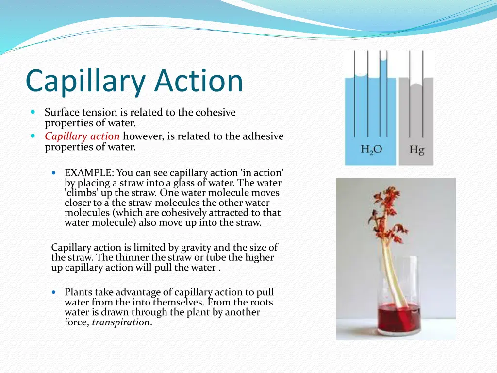 capillary action