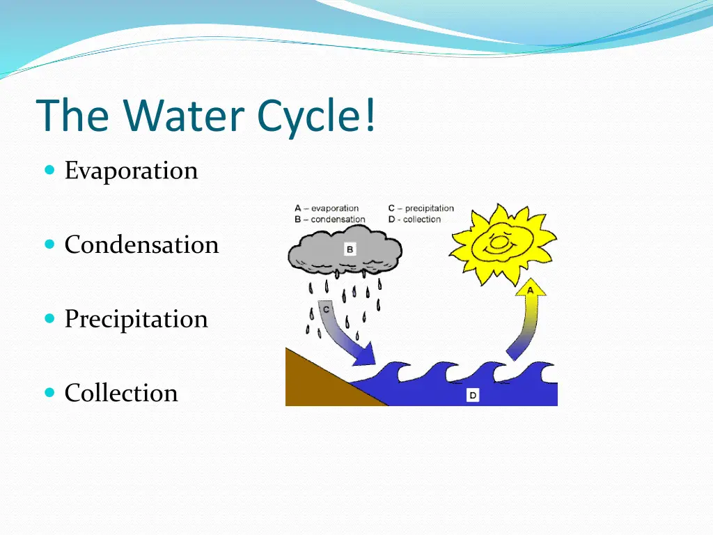 the water cycle