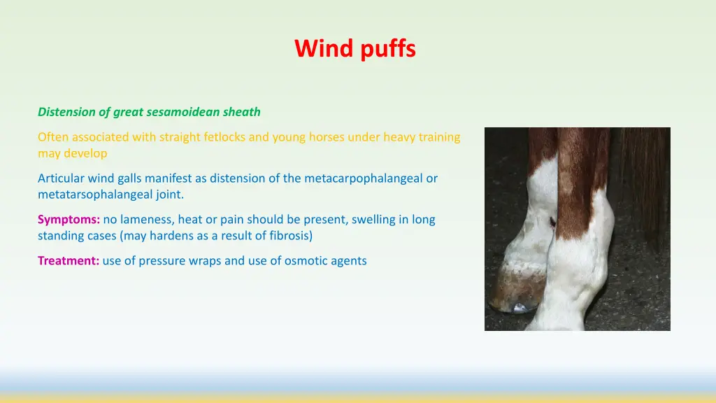 wind puffs