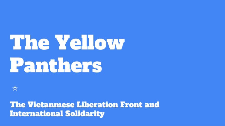 the yellow panthers the vietanmese liberation