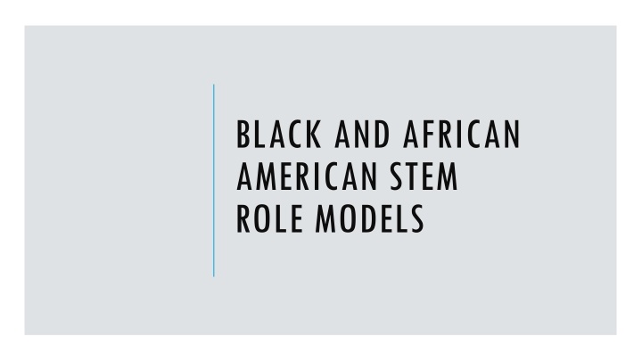 black and african american stem role models