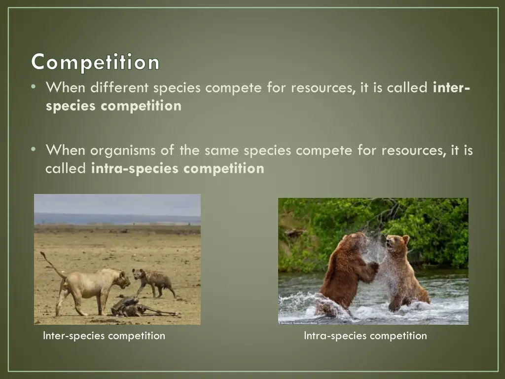 competition when different species compete