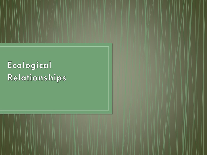 ecological relationships