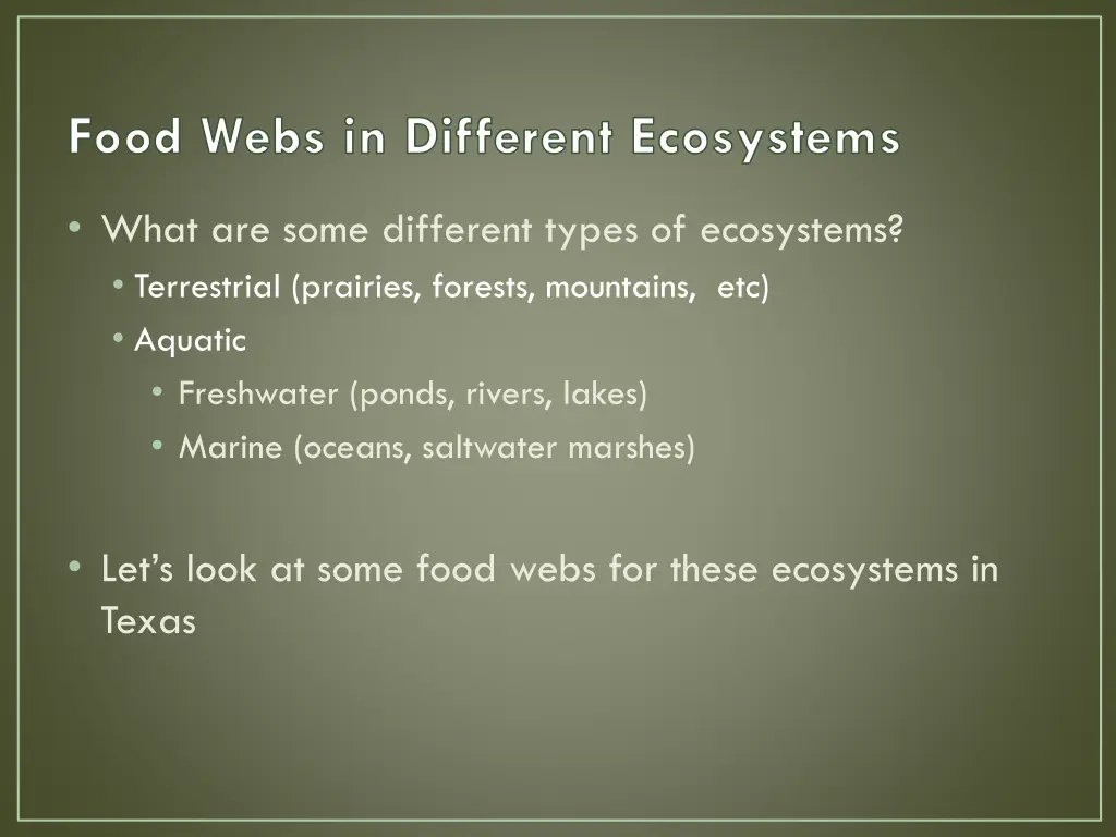 food webs in different ecosystems