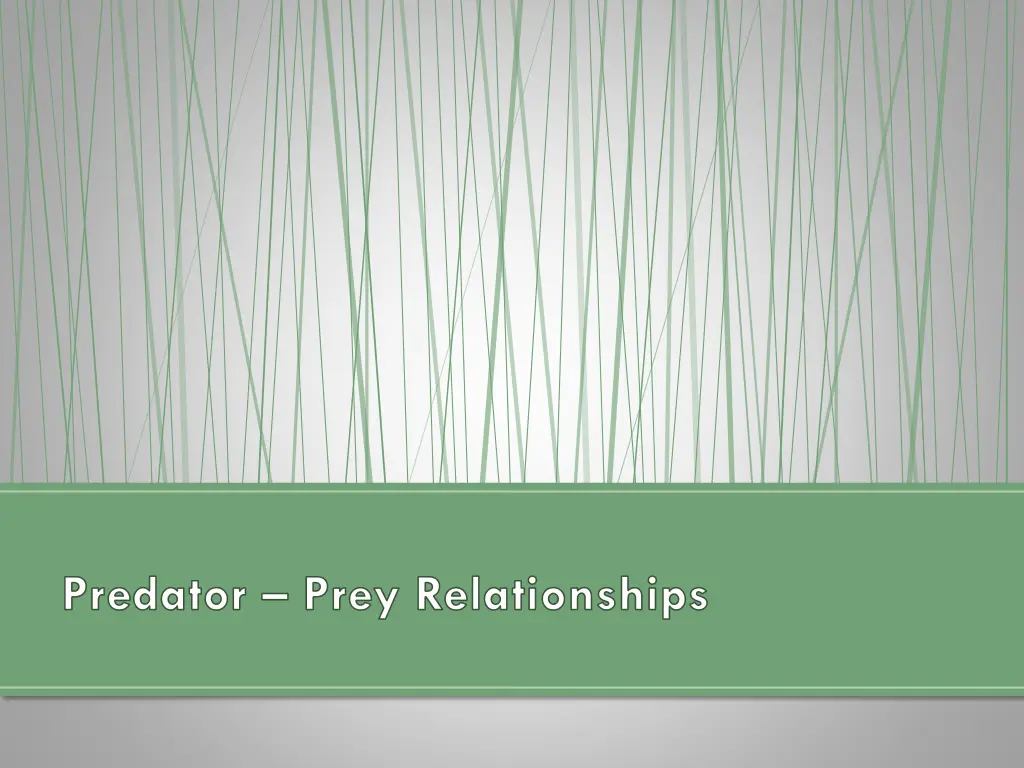 predator prey relationships