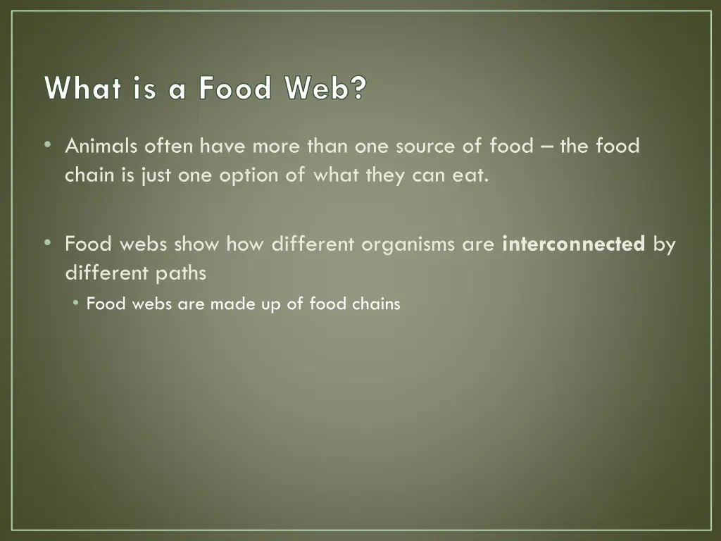 what is a food web