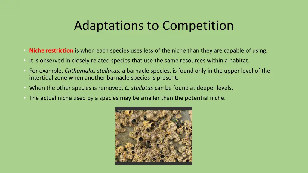 adaptations to competition 1