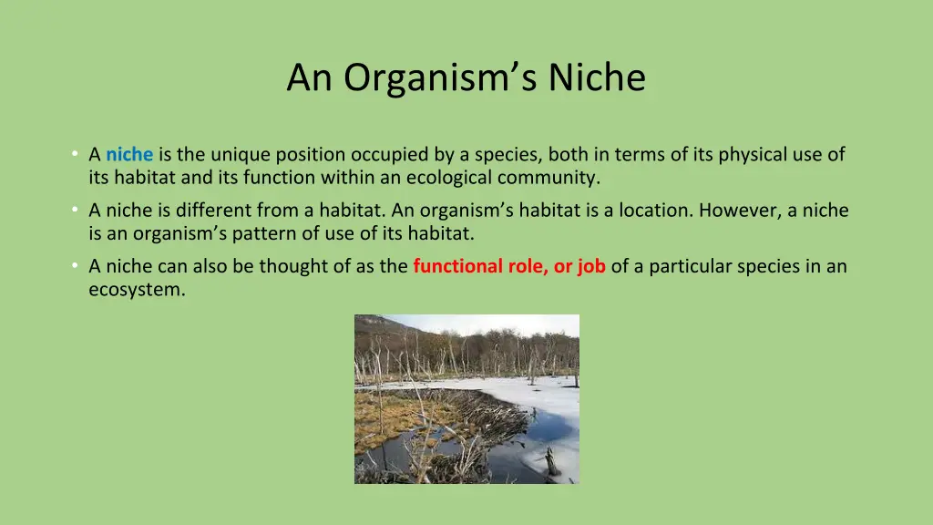 an organism s niche