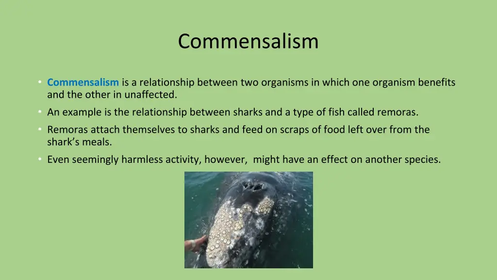 commensalism