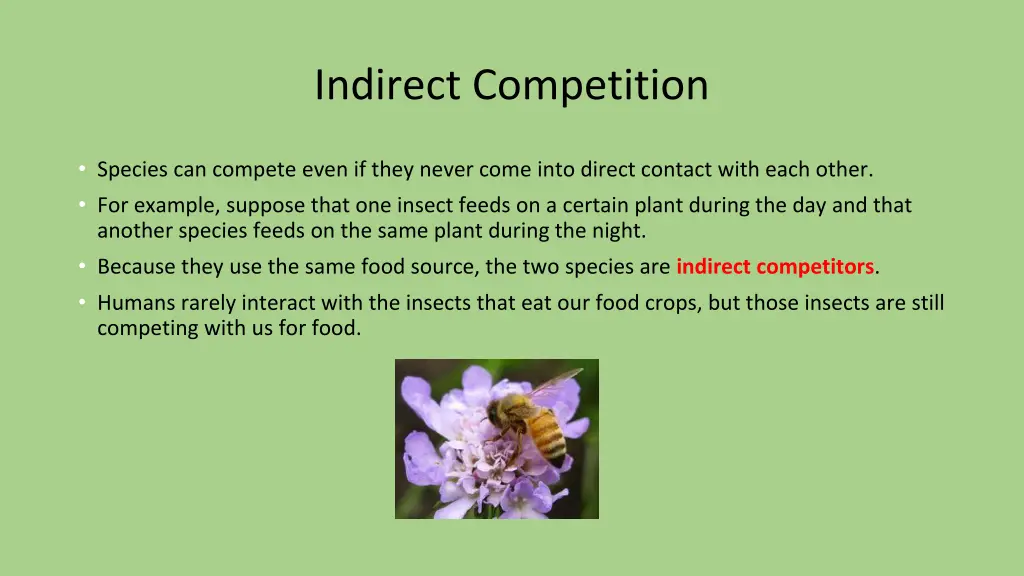 indirect competition