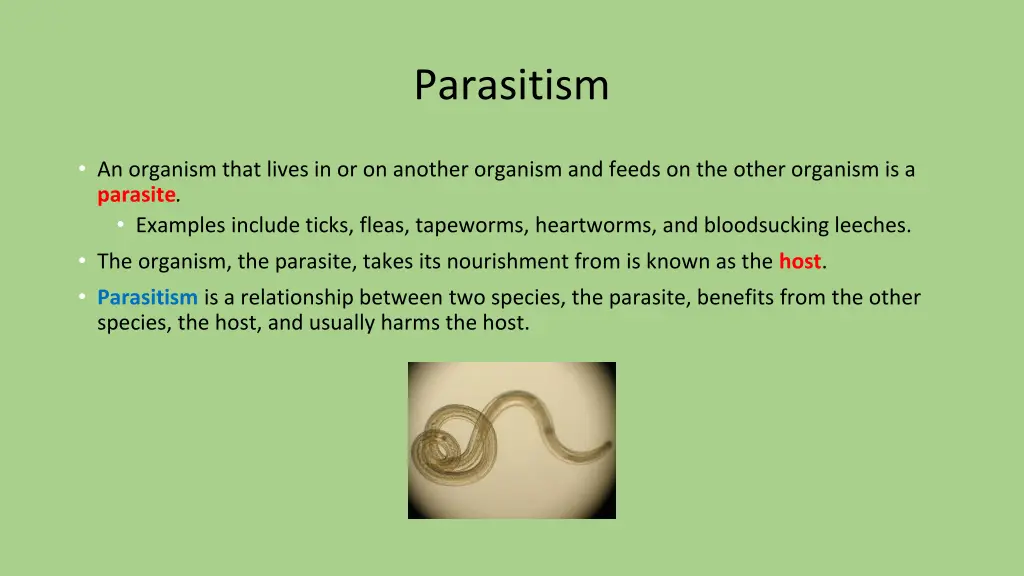 parasitism