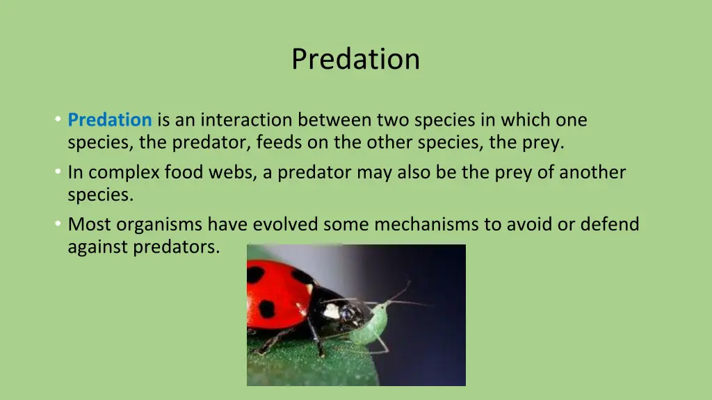 predation