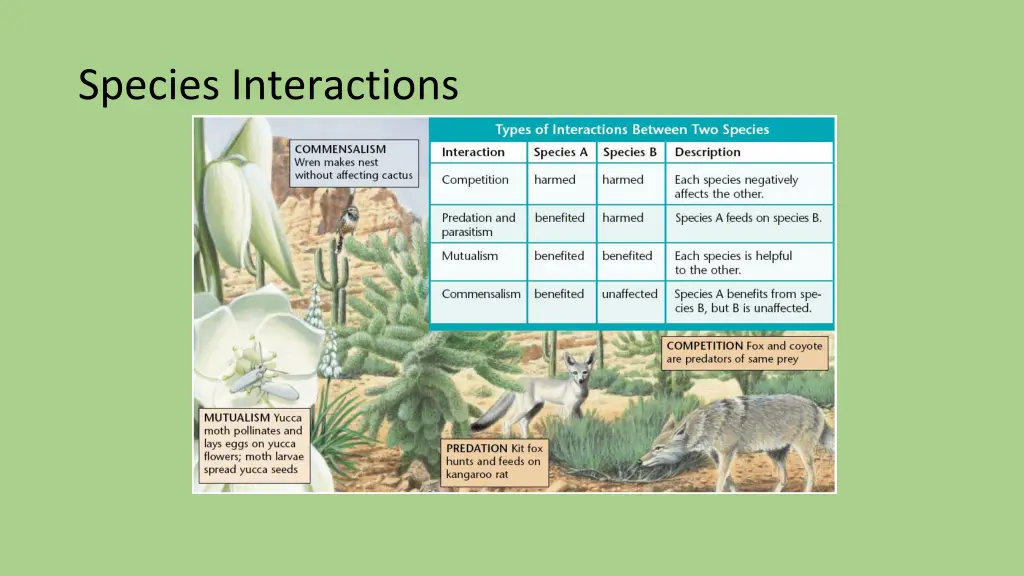 species interactions