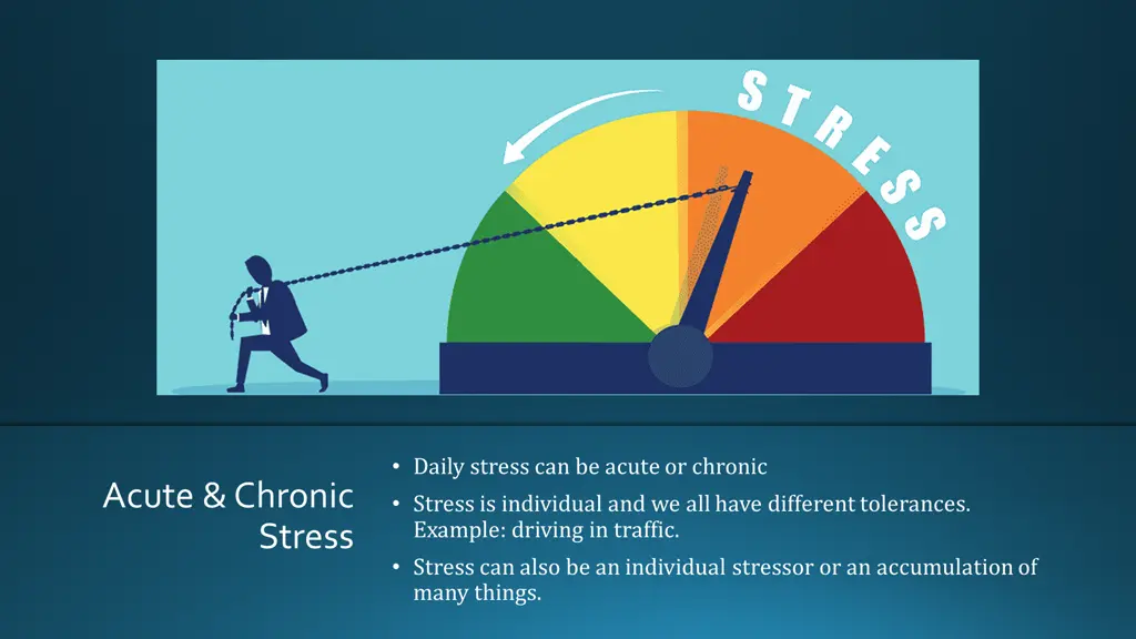 daily stress can be acute or chronic stress