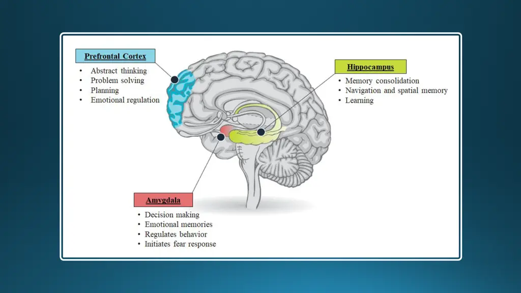 slide17