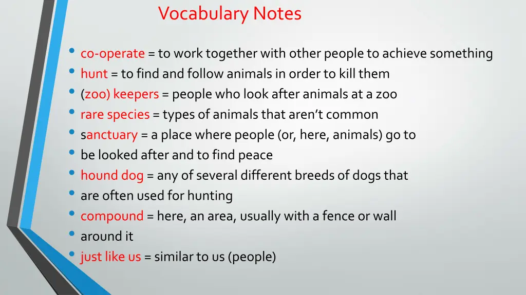 vocabulary notes