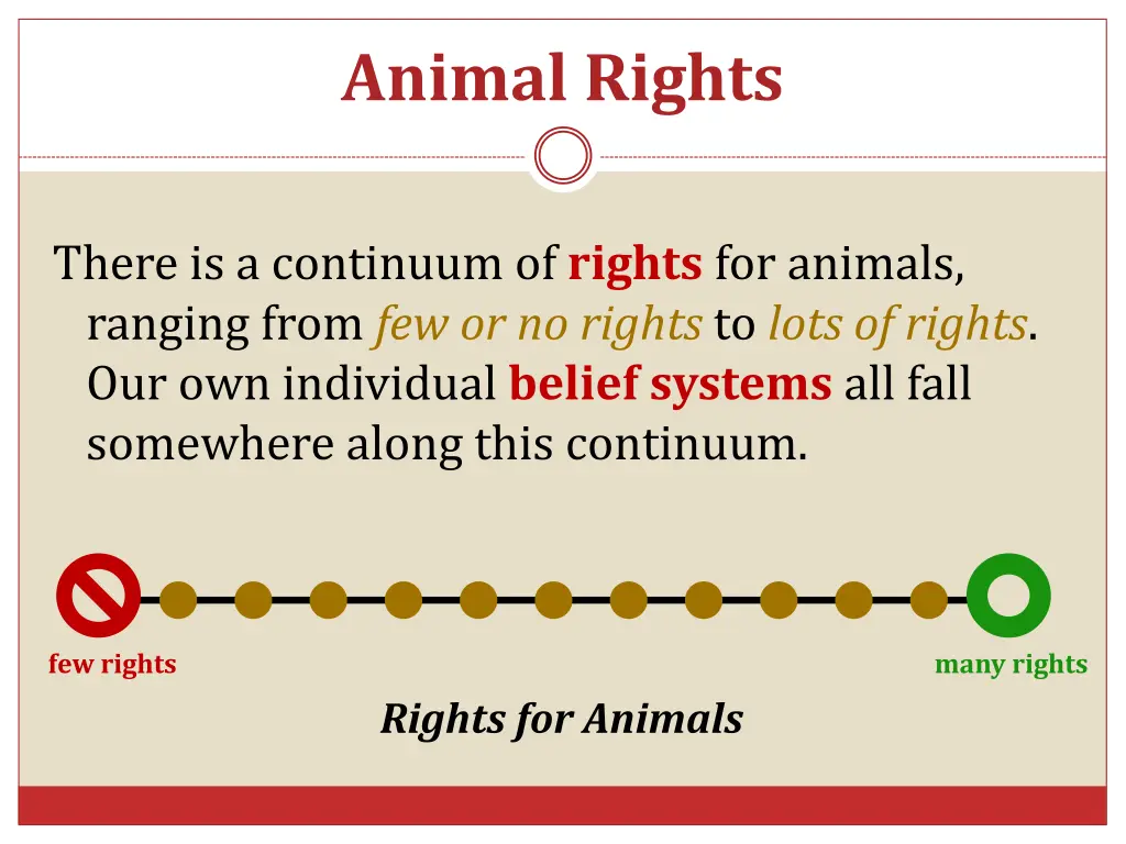 animal rights 1