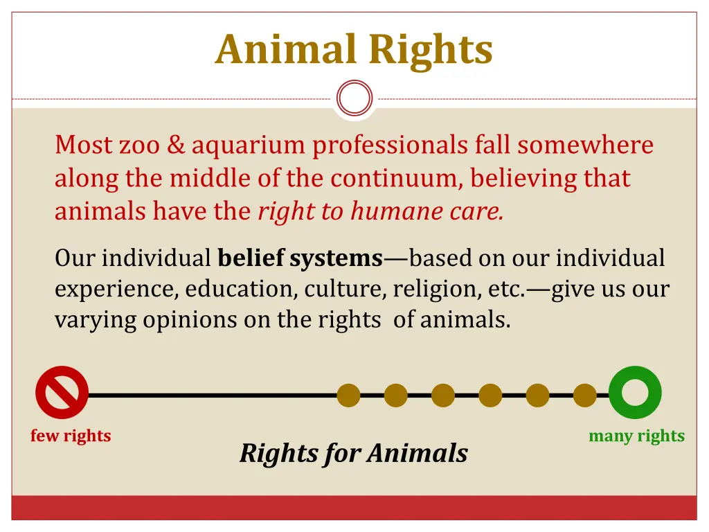 animal rights 2