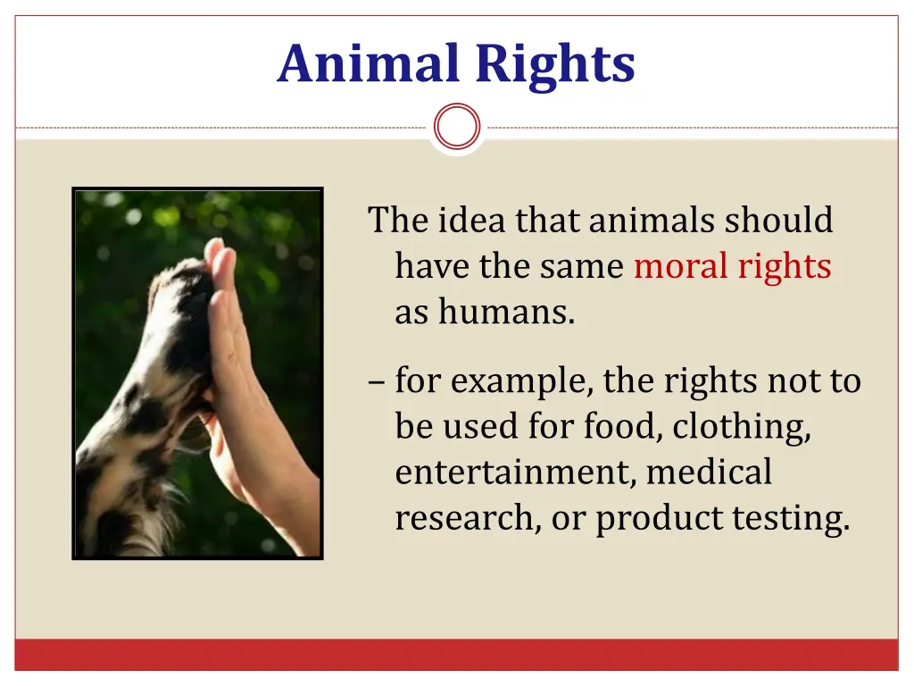 animal rights