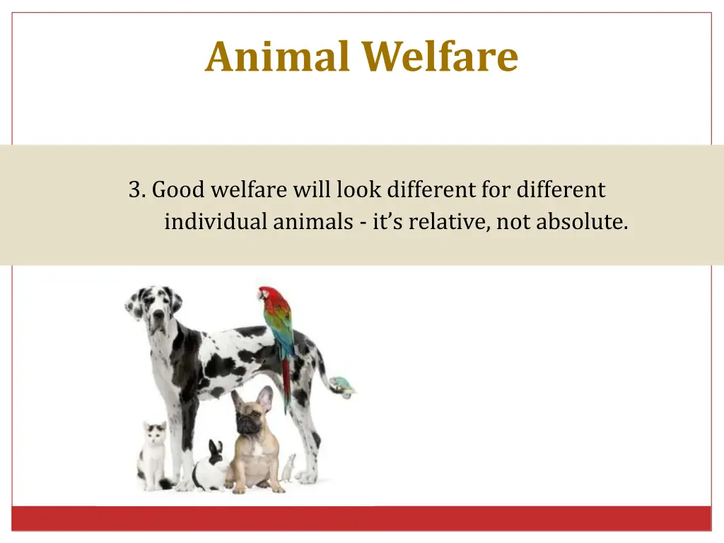 animal welfare 5