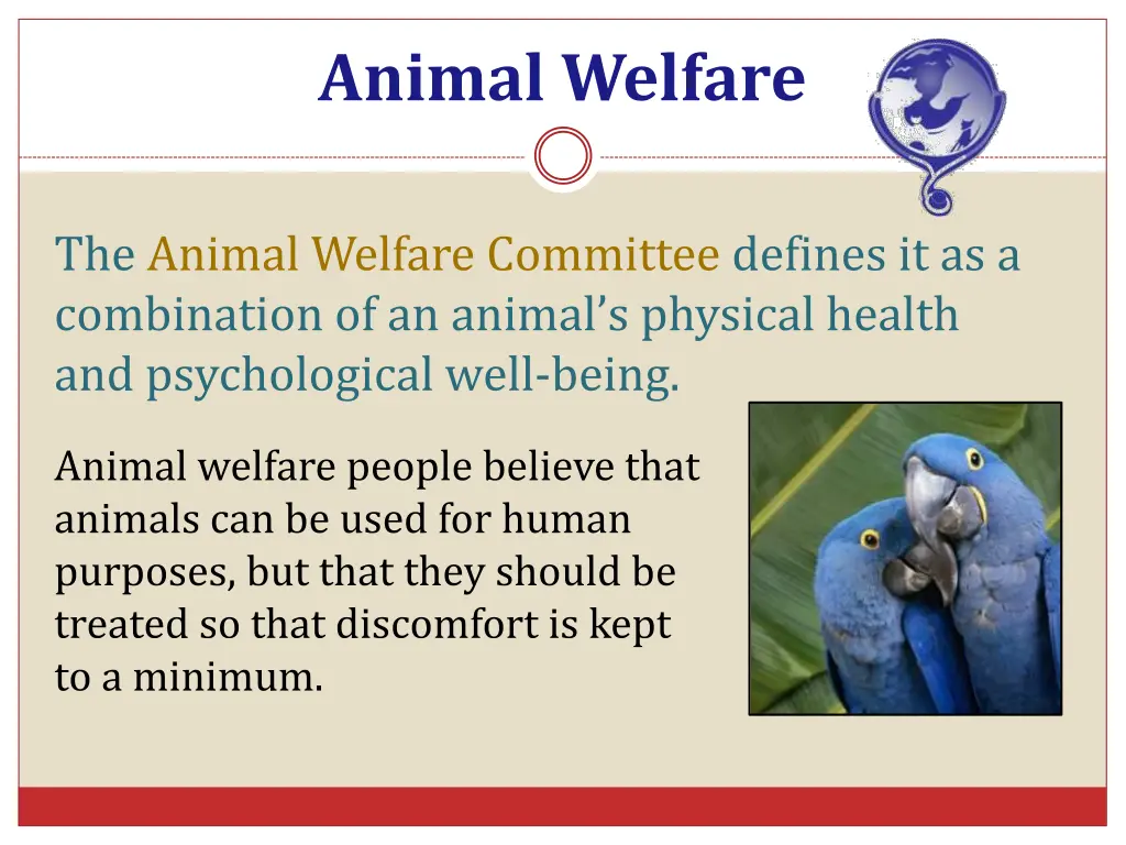 animal welfare